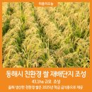 동해시-43 이미지
