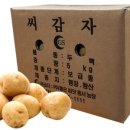 스마트종묘사 이미지