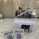 (주)호텔앙코르 | 호텔 앙코르 이비스 앰배서더 수원 하객후기(주차,식사후기)다른식장들과 비교