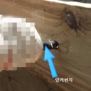 딱!철물볼트