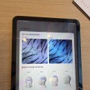 티랩스 | 도봉/방학역ㅣ서울 두피 관리 최고봉 두랩스 솔직후기(+비용)