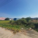 대산공설시장 이미지