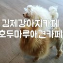 김제호두마루애견카페샵 이미지