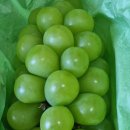 용암농장 이미지