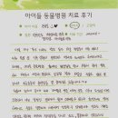 아이들 동물병원 | 전주 아이들동물병원 안검종괴 제거 치료 후기-13살 시츄 레오