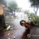 상모리-27 이미지