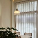 플레이트그린 이미지