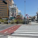 손금선애견세상 이미지