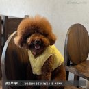 충혼길 L 이미지