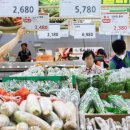 대지의 비상 이미지