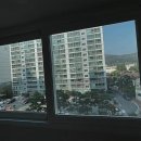 영남샷시유리