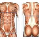 바디코어 트레이닝센터 이미지