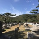 태실농장 이미지