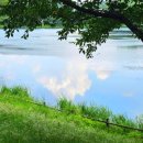 화랑체육공원 운동시설 이미지