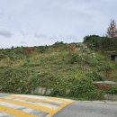 함평현대서비스