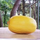 담비농장 이미지