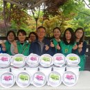 논현1동-11 이미지