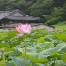 상석농장 이미지