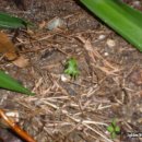 양심농장 이미지