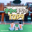 리오넬과 루이 하우스 | 전국 강아지 풀빌라펜션 추천 TOP9 :: 댕댕이와 함께 떠나는 여행!