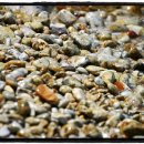 신남3공원 이미지