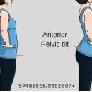 허리나 연구소 이미지