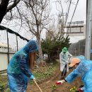 온양4동 실옥로 이미지