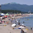 바다야놀자 이미지