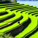 별그림2민박 이미지