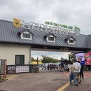 원정목장 | (안성 관광지) 가을 가족나들이 추천 코스모스, 핑크뮬리 명소 &#39;안성팜랜드&#39; 방문후기