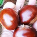 이평2 네이버블로그