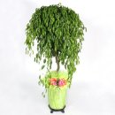 포시즌주유소 이미지