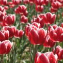 행복 빛으로부터 이미지