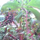 강동초등학교 이미지