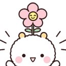 봄 펫살롱 이미지