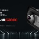 옥썬팅