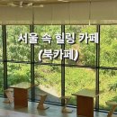 더 숲Ⅰ 이미지