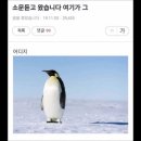 이엠씨 이미지