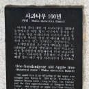 대구나무병원 이미지