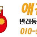 빨리펫 이미지