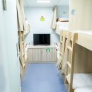 관음도 비경 속으로 – 크루즈 타고 떠나는 울릉도 3박 4일 이미지