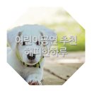 뮤지컬<해피한하루> 이미지