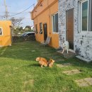 엉알게스트하우스 이미지