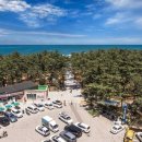 숲속에서 캠핑장 이미지