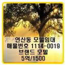 연제구-019 이미지