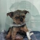 바른마음동물병원 이미지