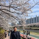 카페비앤 | 부산 온천천 벚꽃나들이🌸, 카페비앤 방문