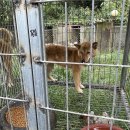 달님농장 이미지