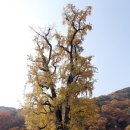 현미민박 이미지