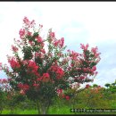 동호농장 이미지